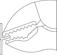6407270 Gedore 137 11 Locking Pliers, 260 mm Overall