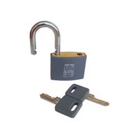 195-8251 RS PRO Key Brass Padlock, Keyed Alike, 6mm Shackle, 40mm Body