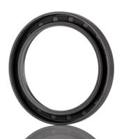 70x90x10-hmsa10-rg SKF Nitrile Rubber Seal, 70mm ID, 90mm OD, 10mm