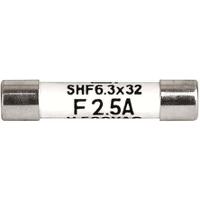 80205068g Schurter 1A F Ceramic Cartridge Fuse, 6.3 x 32mm