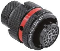 8sta61298sn Souriau Sunbank by Eaton Circular Connector, 10 Contacts, Cable, Standard Connector, Plug, Female, IP67, 8STA Series