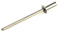 td406gt Pop Rivets Stainless Steel Blind Rivet, 3.2mm