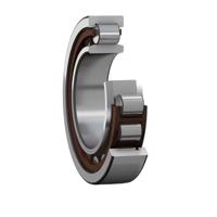 nu211ecp SKF NU211ECP 55 mm ID Cylindrical Roller Bearing, 100 mm OD
