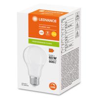4099854043970 LEDVANCE Classic E27 LED Bulbs 8.8 W(60W), 2700K, Warm White, Classic Bulb shape