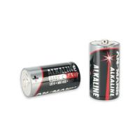 p01296034 Chauvin Arnoux 1.5V Alkaline C Battery