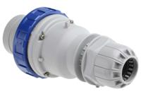 2186333 Scame IP67 Blue Cable Mount 2P + E Industrial Power Plug, Rated At 63A, 230 V