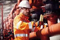 ns804-290 Bahco 28mm Brass Wire Brush, For Cleaning Metallic Surfaces