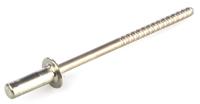 td406gt Pop Rivets Stainless Steel Blind Rivet, 3.2mm
