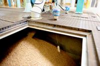 ftc262-ba44j1 Endress+Hauser Minicap FTC262 Series Capacitance Level Sensors, PNP Output, Wall Mount, PBT-FR Body, ATEX-Rated