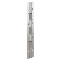 71-1-3807 Pinet Steel Spring Hinge, Screw Fixing, 240mm x 40mm x 1.5mm
