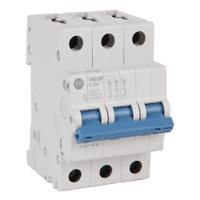 1492-spm3b320 Allen Bradley Allen-Bradley 1492-S MCB, 2P, 32A Curve B