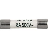 80205021g Schurter 10A T Ceramic Cartridge Fuse, 6.3 x 32mm