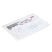 695 Rapesco Clear Foolscap Punched Pocket