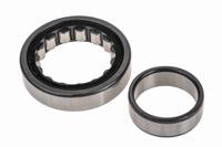 nu209-e-xl-tvp2 FAG NU209-E-XL-TVP2 45 mm ID Roller Bearing, 85 mm OD