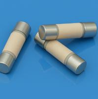ctgfs-14 E-Pro CTGFS-14, Time Delay Ceramic Cartridge Fuse, Complies with UL,VDE and CCC Standards