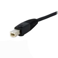 dvid4n1usb6 StarTech.com Male 3.5mm Stereo Jack x 2; DVI-D Dual Link; USB A to Male 3.5mm Stereo Jack x 2; DVI-D Dual Link; USB B