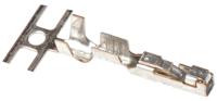 12191819 Delphi, GT150 Female