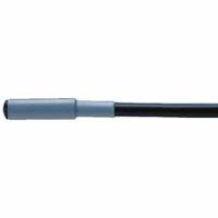 f-891-000 Eberle RTD Sensor, +70°C Max