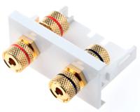 768-4242 RS PRO Double Gang 4 Way Female Banana Socket Faceplate