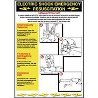 146-416 RS PRO Black/Green/White/Yellow Polyester Safety Labels 600mm x 420mm