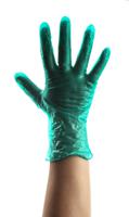 g0005 Reldeen Green Powdered Vinyl Disposable Gloves, Size 8, Medium, 100 per Pack