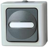 560656006 Kopp Grey Wet Room Switch
