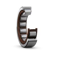 rnu-203-ecp SKF RNU 203 ECP 22.1 mm ID Roller Bearing, 40 mm OD