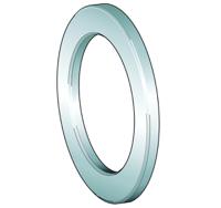 gs89306 INA Housing locating washer, GS89306