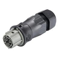 9603145543 Wieland RST CLASSIC Series Connector, 3-Pole, Female, 3-Way, Push-In, 25A, IP66, IP68