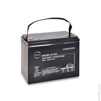 amc9005 ENIX Energies 12V Standard Sealed Lead Acid Battery, 70Ah