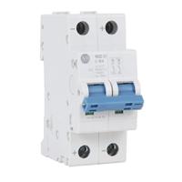 1492-d2c100 Allen Bradley 1492-D2 1492-D MCB, 2P, 10A Curve C, 10 kA Breaking Capacity