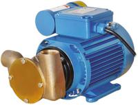 53020-2013 Xylem Jabsco Centrifugal Electric Operated Positive Displacement Pump, 18L/min, 1.7 bar, 230 V