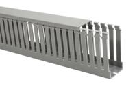 185-45050-htwd-pd-50x50-pvc-gy HellermannTyton HTWD-PD Grey Slotted Panel Trunking - Open Slot, W50 mm x D50mm, L2m, PVC