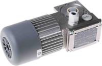 mc-244pt-80-b5 Mini Motor Reversible Induction Geared AC Geared Motor, 49 W, 3 Phase, 230 V, 400 V