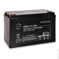 amc9012 ENIX Energies 12V Standard Sealed Lead Acid Battery, 100Ah