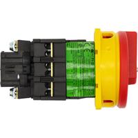 081438-p1-32easvb Eaton 3P Pole Panel Mount Isolator Switch - 32A Maximum Current, 15kW Power Rating, IP65