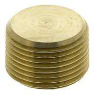 0205-27-00 Legris Brass Pipe Fitting, Straight Threaded Plug, Male R 3/4in