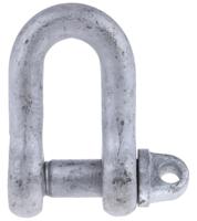 674-055 RS PRO D-Shackle, Stainless Steel, 2.5t