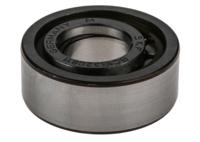 bc1b-320811 SKF BC1B 320811 17 mm ID Cylindrical Roller Bearing, 17 mm OD