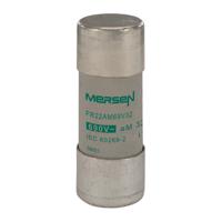v213113 Mersen 32A Slow-Blow Ceramic Cartridge Fuse, 22.2 x 58mm