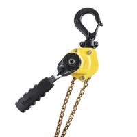 2300070 YALE Manual 1.5m 500 kg Hoist,