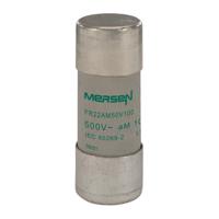 y217693 Mersen 100A Ceramic Cartridge Fuse, 22 x 58mm