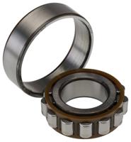 n-205-ecp SKF N 205 ECP 25 mm ID Roller Bearing, 52 mm OD