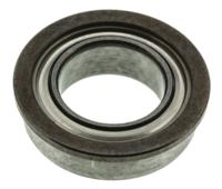 ddlf-1060zzha5p25ly121 NMB DDLF-1060ZZHA5P25LY121 1 Row Ball Bearing - 6 mm ID, 10 mm OD