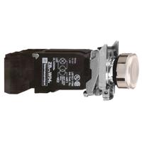 xb4bw3135 Schneider Electric XB4 Series Push Button, 22mm Cutout, 110 → 120V, IP66, IP67, IP69