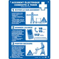 ap-25-b Catu Electrical Safety Wall Chart (French)