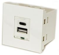 124-2518 RS PRO Double Gang 2 Way Male USB Type A, USB Type C Faceplate