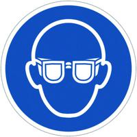 dpo31 Health and Safety Safety Poster, PVC 280 mm, 280mm