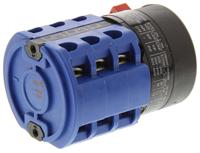ca10a216gba001ft Kraus & Naimer, 3P 3 Position 60° Double Throw Cam Switch, 20A