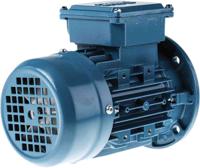3gaa062312-bsf ABB M3AA Reversible Induction AC Motor, 0.18 kW, IE2, 3 Phase, 4 Pole, 415 V, Flange Mount Mounting